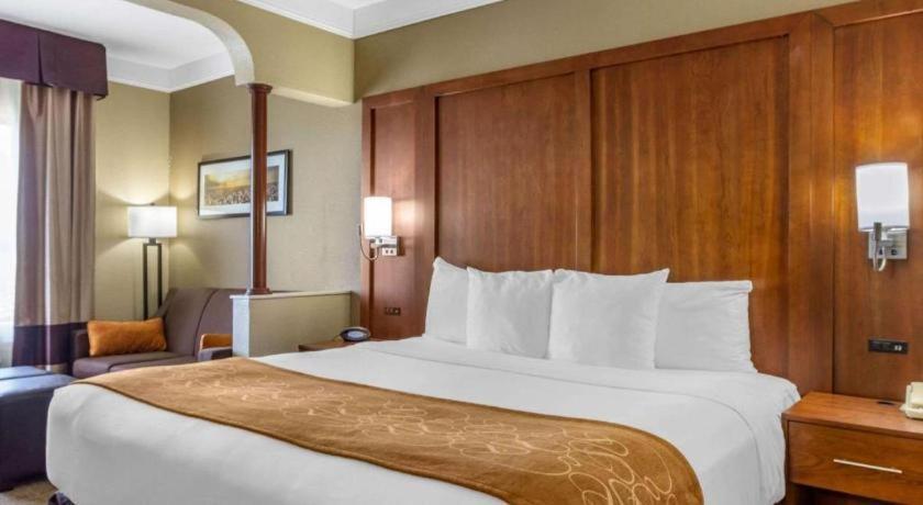 Comfort Suites Plainview Eksteriør bilde